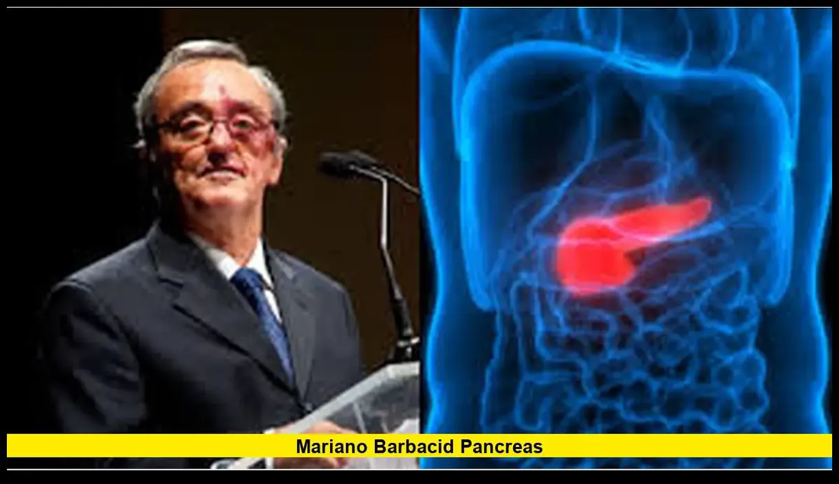 barbacid cancer pancreas — ES news