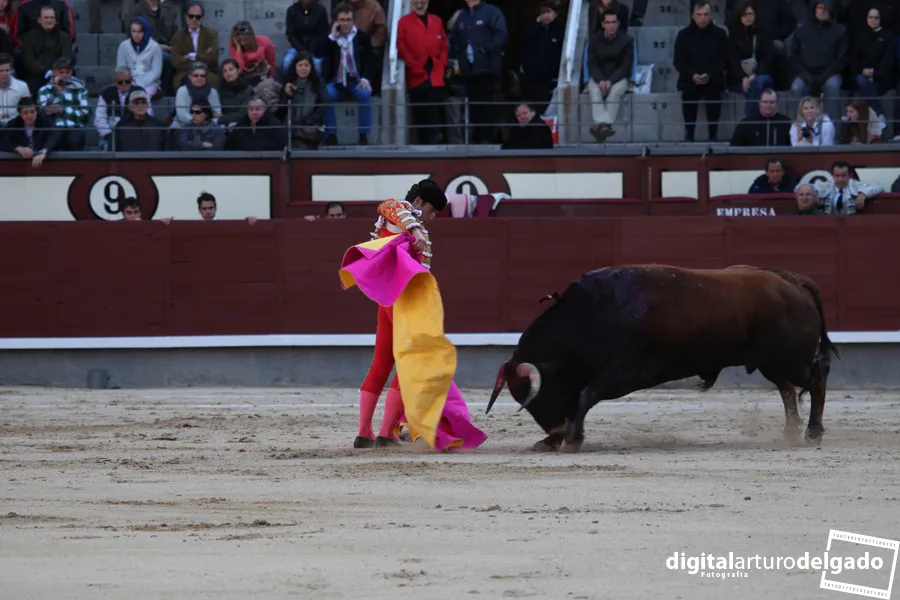 alberto duran torero — ES news