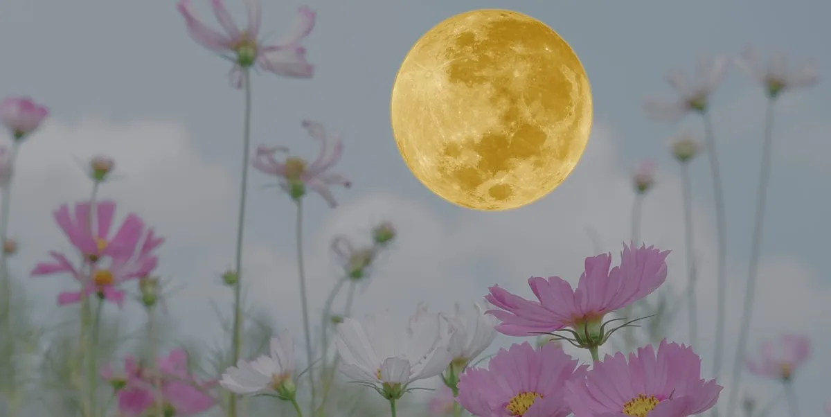 luna llena mayo 2026 — ES news