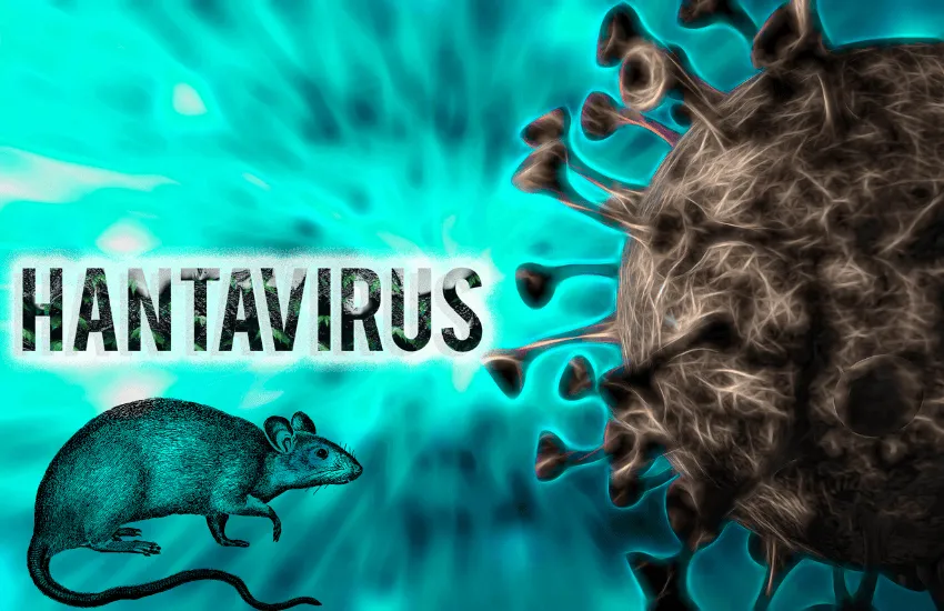 que es el hantavirus — ES news