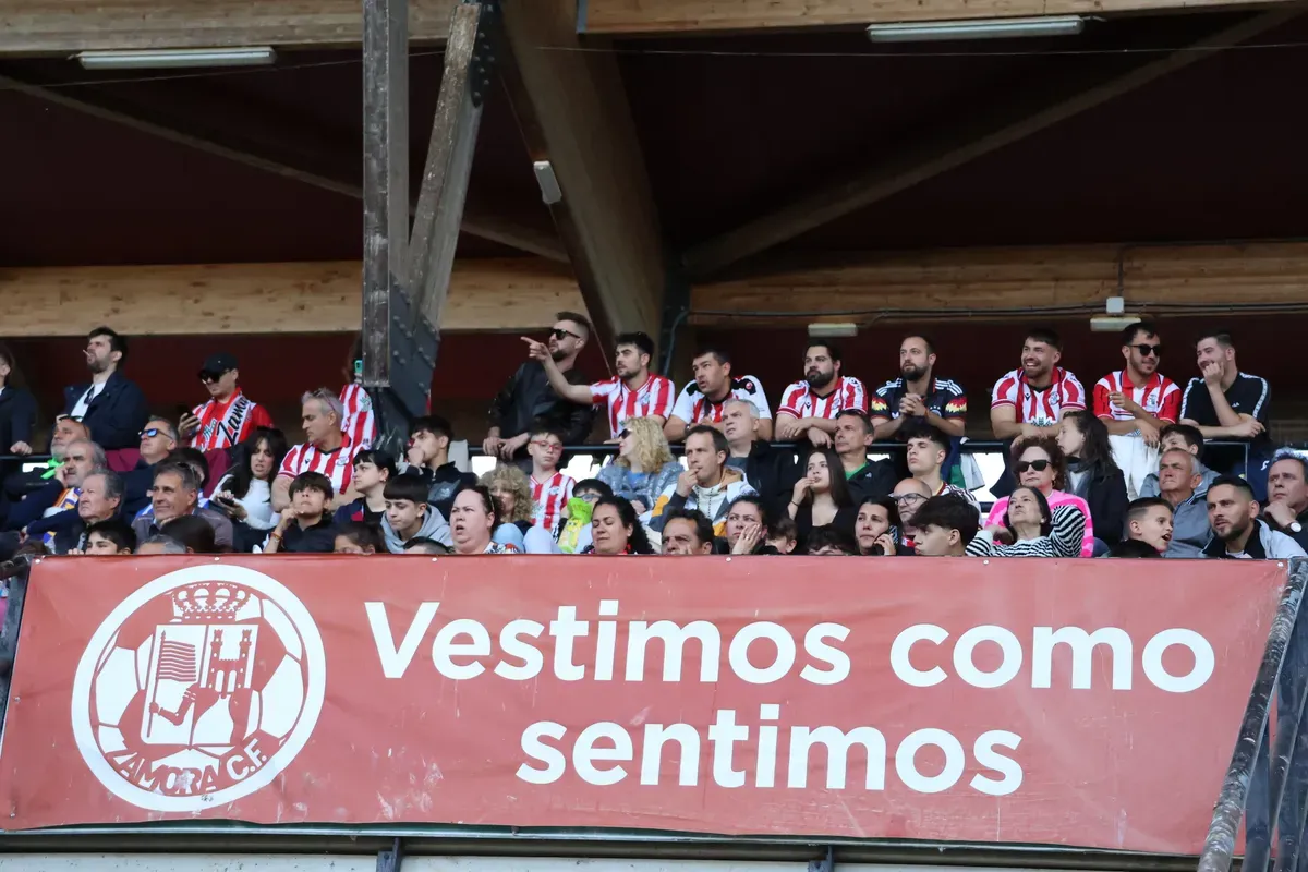 zamora cf — ES news